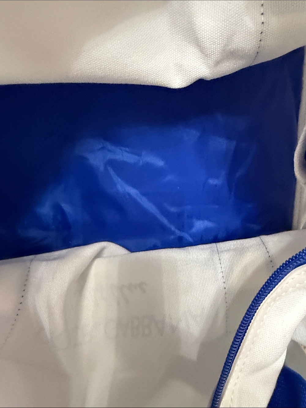 Dolce & Gabbana White and Bright Blue Canvas Tote - Picture 2 of 2